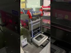 electric sealerDF280YT