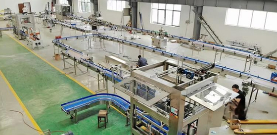 Full Automatic Liquid Liner Filling Machine for Syrup/Fruit Wine/Edible Oil Design