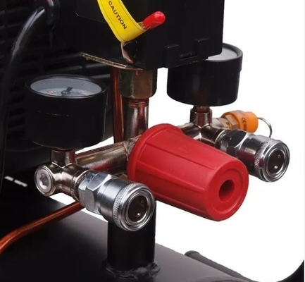 Powerful 2.5HP 220V Direct Power Air Compressor Directly Connect Air Compressor With Dual Gauges