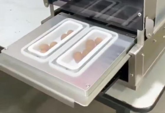 Electric Gas Replacement Plastic Tray Electric Ordinary Packaging DF250TA-E Fully Automatic Food Tray Sealer