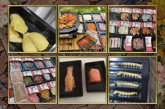 Factory Direct Sale Automatic Vertical Vacuum Skin Sealing Machine DQ440VSL Food Seafood Meat Food Container Sealing Machine