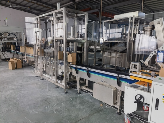 Automatic Intelligent Two-Axis Robotic Case Packer Robotic Case Erector Intelligent Robotic Carton Unpacking Machine
