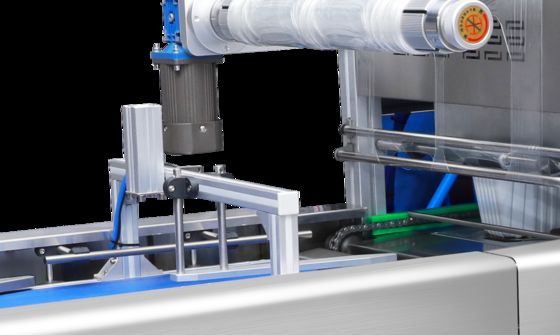 Full-Automatic Continuous Vacuum Skin Airflow Displacement Chain Plastic All-in-one Machine DQ630AT-VS High Quality Tray Sealer Machine