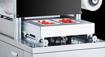 Automatic Vertical Tray Sealer DQ305L-E with Food Grade Stainless Steel and 6061 Anodized Aluminum Mold for Modified Atmosphere Packaging