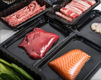 Factory Direct Vertical Modified Atmosphere Sealer DQ480L-E with Food Grade 304 Stainless Steel and 6061 Anodized Aluminum Mold for Automatic Packaging